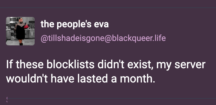 A post from the people's eva (@tillshadeisgone@blackqueer.life): If these blocklists didn't exist, my server wouldn't have lasted a month