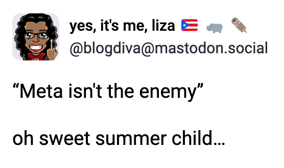 a post by yes, it's me, liza (@blogdiva@mastodons.social): “Meta isn't the enemy”  oh sweet summer child…