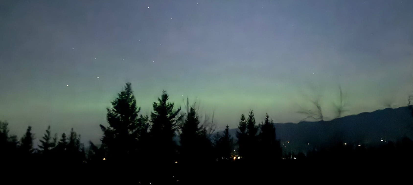 green aurora, low in the sky.  above, a night sky with a few stars visible.  below, trees, and a few lights in the background