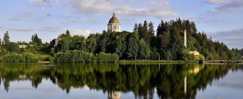 Trees, reflected in a pond.  In the background, the dome of the state Capitol building