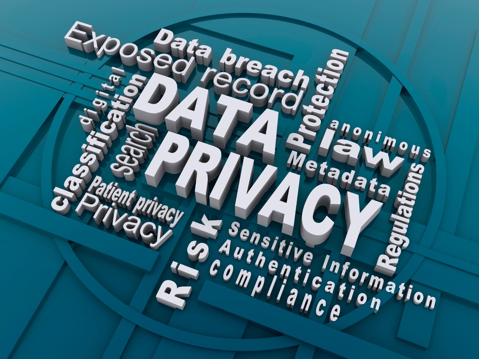 A word cloud with the words Data Privacy in the center
